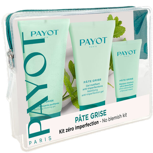 PATE GRISE Payot