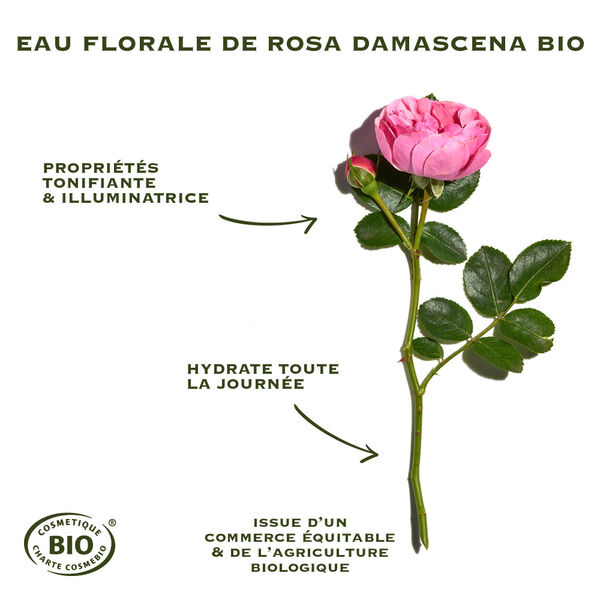 Rosa Fresca Sanoflore