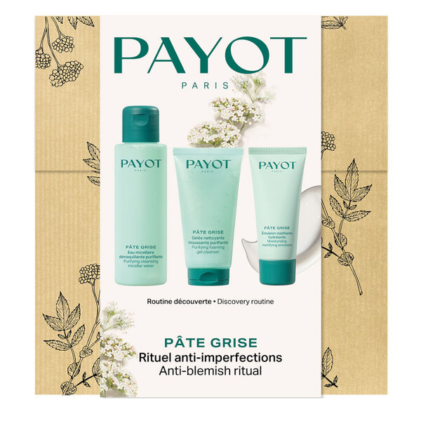 Pâte Grise Payot