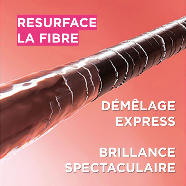 Elseve Dream Length L'Oréal Paris