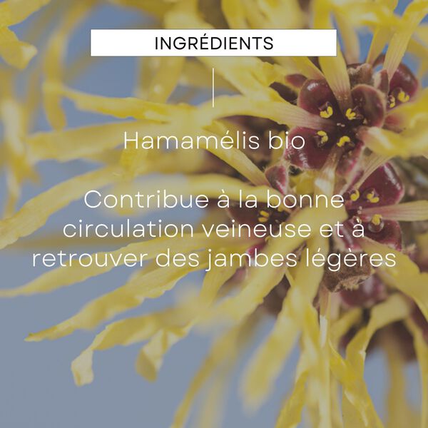 EPB® Hamamélis Bio - Circulation Weleda