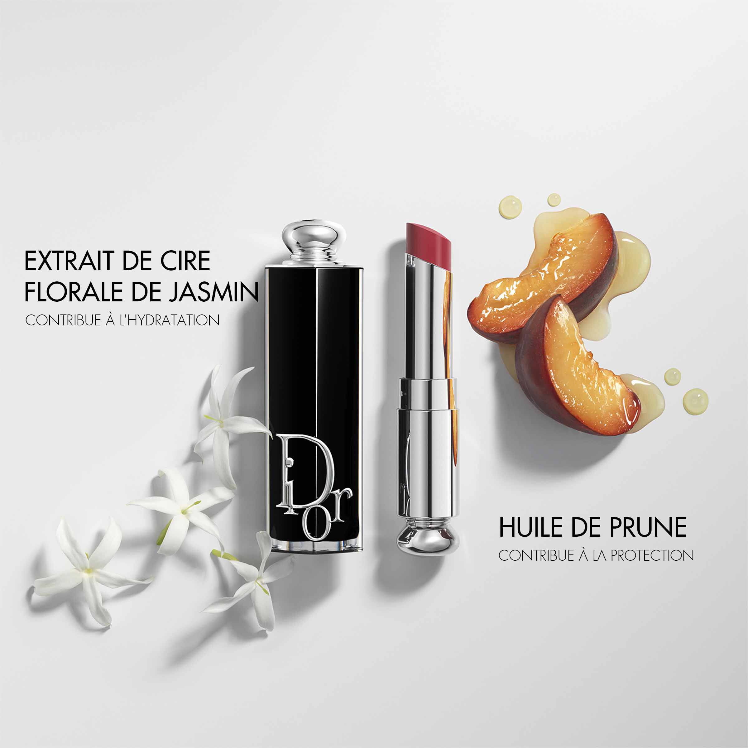 Rouge à lèvres  Dior Addict Lacquer Stick  Makeupbe