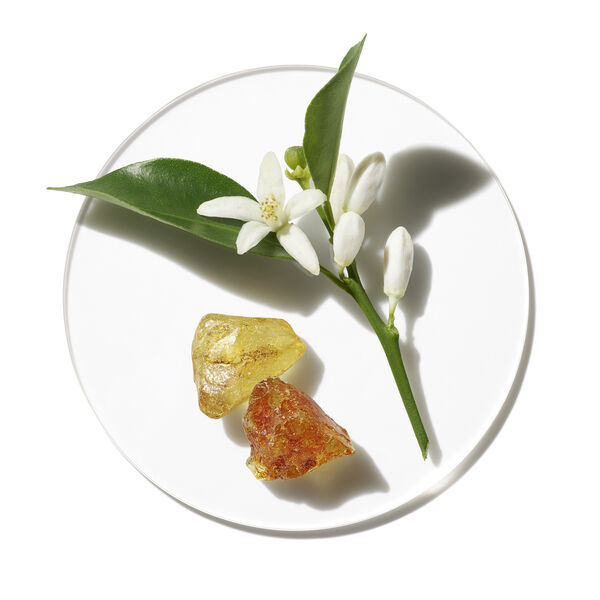 Aromatics In White Clinique