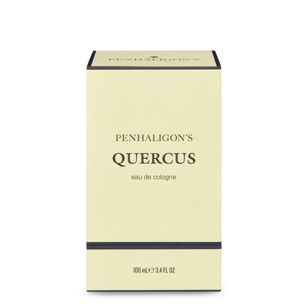 Quercus penhaligon's