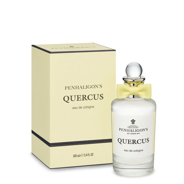 Quercus penhaligon's