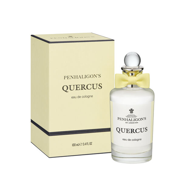 Quercus penhaligon's