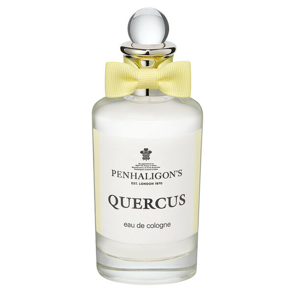 Quercus penhaligon's