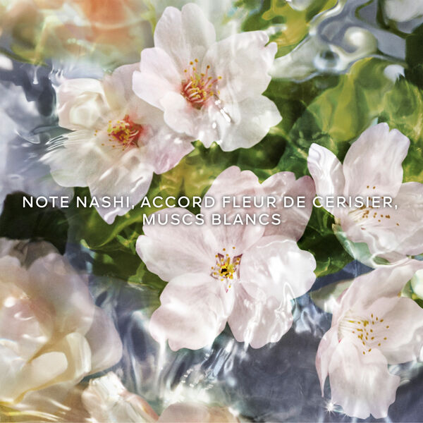 Aqua Allegoria Flora Cherrysia Guerlain