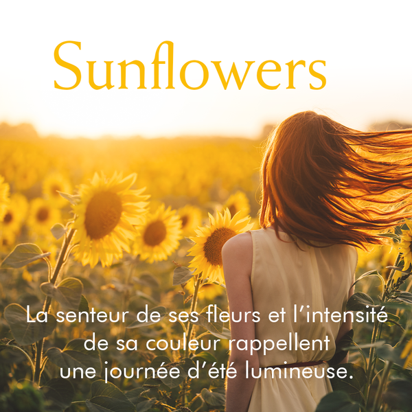 Sunflowers Elizabeth Arden