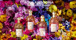 Trouvez votre parfum Aqua Allegoria